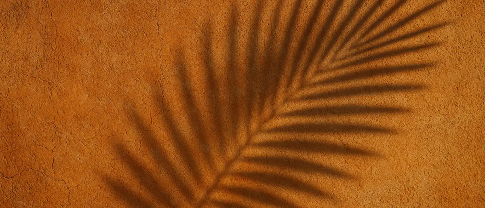 Parede de reboco terracota castigada pelo sol, com a sombra nítida de uma folha de palmeira atravessando na diagonal